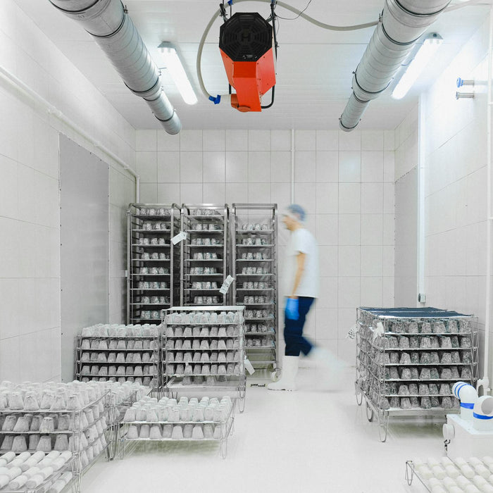Why Every Irish Catering Business Needs a Cold Room: 5 Key Benefits for Efficiency & Compliance