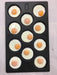 5333MP - 1/1Gn Lotan Coated Non Stick Mould Tray - 11 Moulds